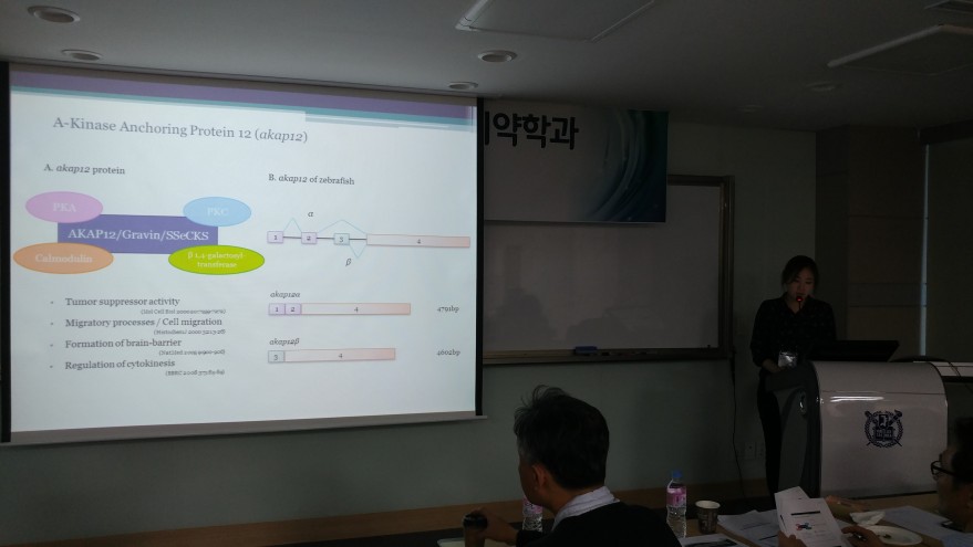 0574b0523924ab55701024e15018d400_1481594