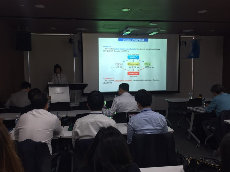 e4a4fb9d185a8862367da829c3d2c7f9_1495685